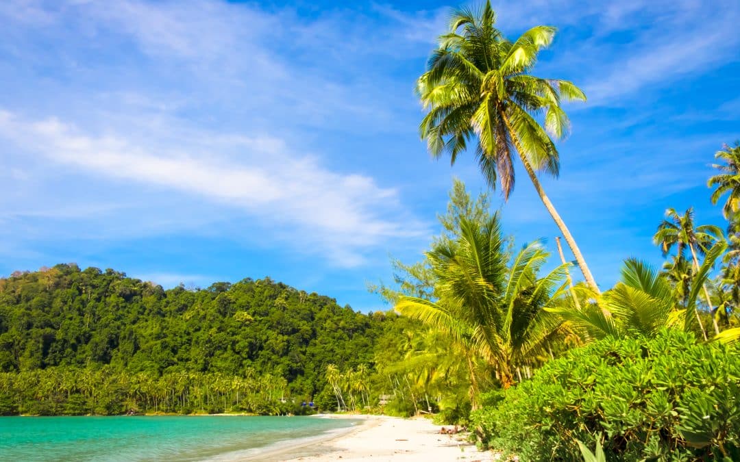 Common Travel Mistakes And How To Avoid Them