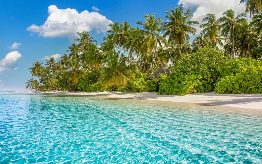 Hawaii Travel Guide: What to Know Before You Go