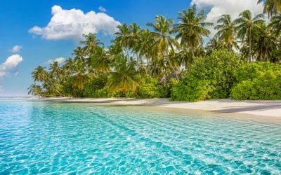 Hawaii Travel Guide: What to Know Before You Go