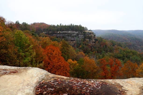 Red River Gorge
