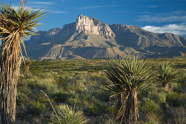 Guadalupe Mountains