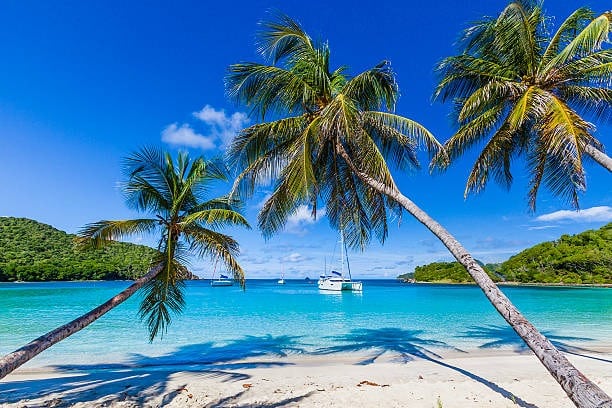 Saint Vincent And The Grenadines