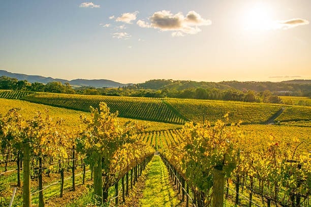 Napa Valley, California