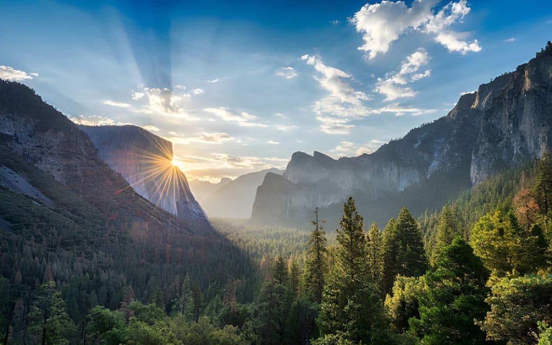 Best US National Parks for Kids (No Long Hikes)