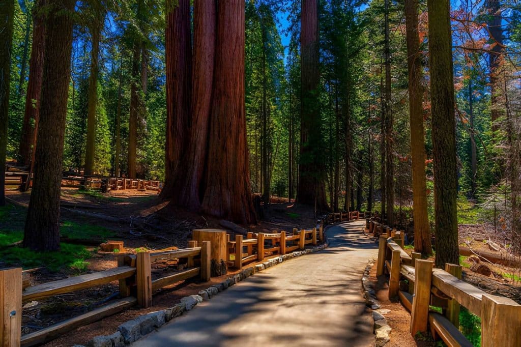 Yosemite Gives You Strong Views Without Long Hikes
