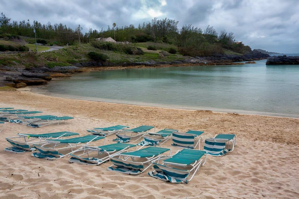 The Cove Design Changes Everything