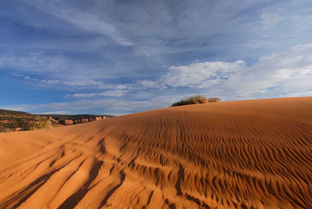 Coral Pink Sand Dunes Feels Like a Giant Playground