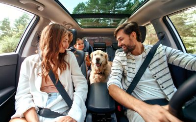 10 Family Road Trips That Are Worth Every Mile